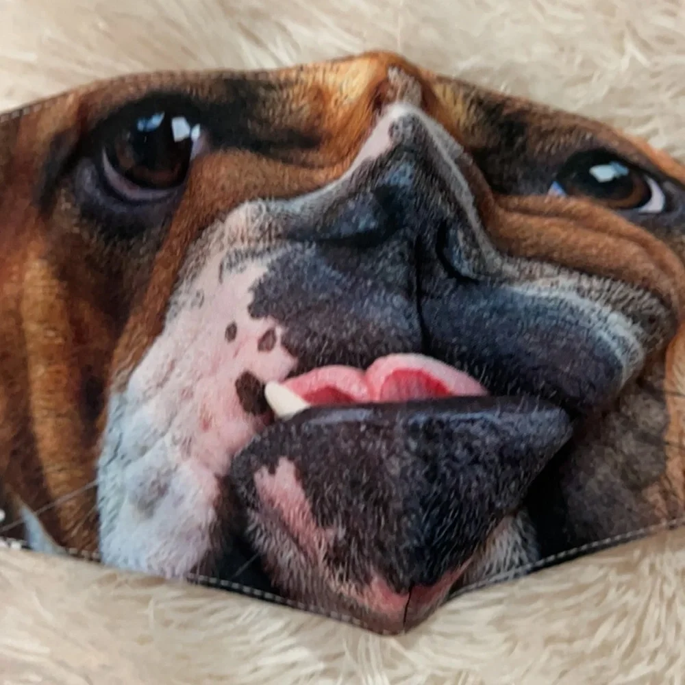 New Bulldog face mask